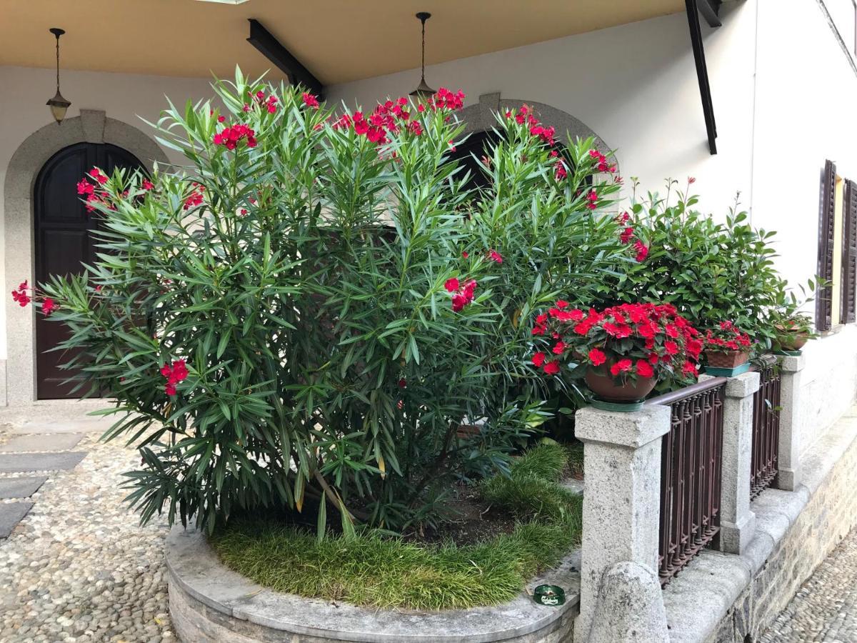 Villa Ombrosa Nebbiuno Екстер'єр фото