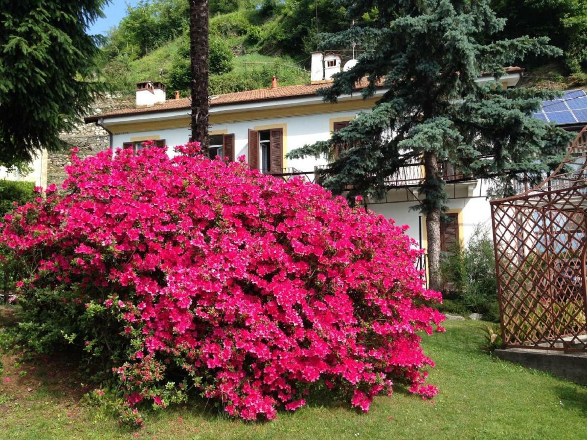 Villa Ombrosa Nebbiuno Екстер'єр фото